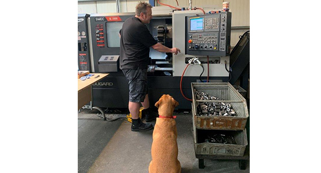 Dugard at Grayline with the workshop dog